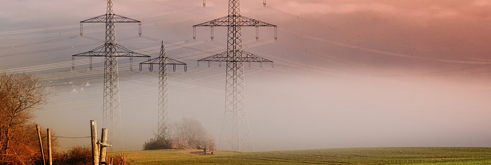 Una red de distribución aérea de media tensión con varios postes en una zona rural